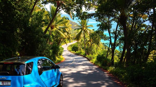 Astuces pour une exploration de Marie-Galante en voiture